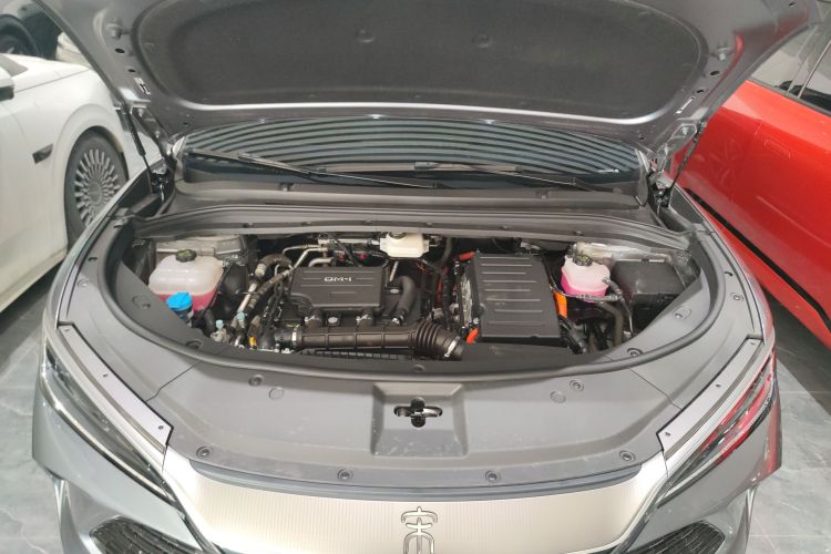 BYD SongL DM-i 2024 #35 BYD SongL DM-i 2024 car image #35