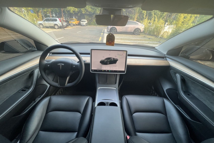 Tesla Model 3 2022 #35 Tesla Model 3 2022 car image #35