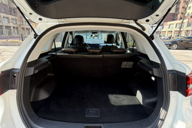 SWM 2020 car image #35