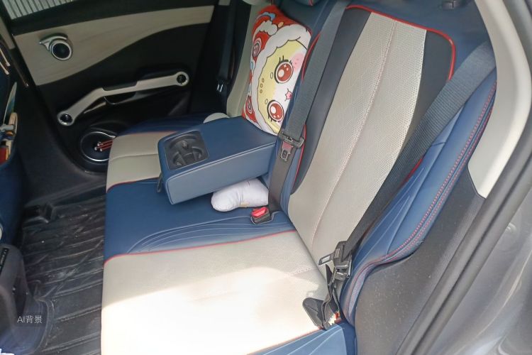 BYD Yuan Plus 2022 car image #19