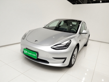 Tesla Model 3 2021 Tesla Model 3 2021 car image