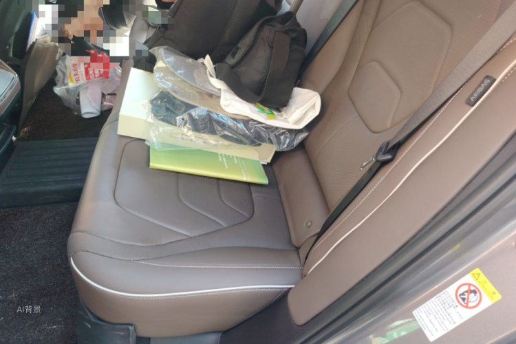 比亚迪 汉 2022 汽车图片 #19