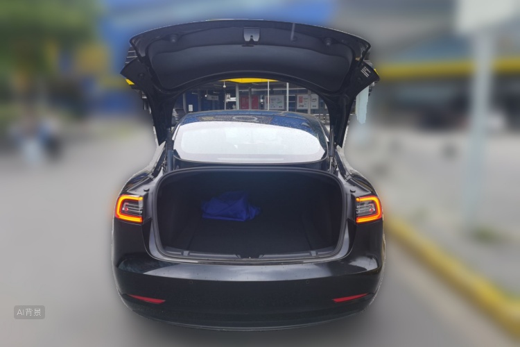 Tesla Model 3 2021 car image #21