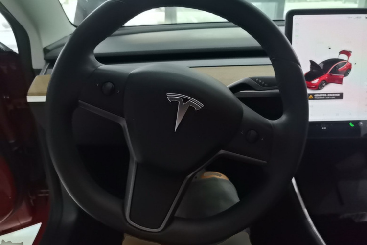 Tesla Model 3 2020 car image #15