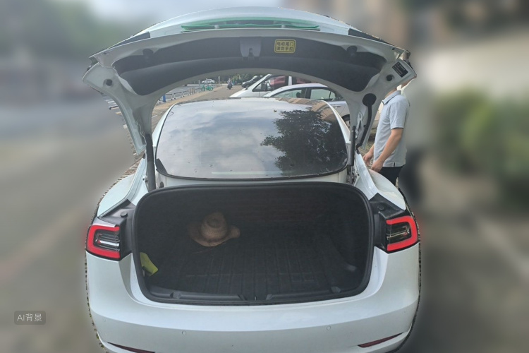 Tesla Model 3 2022 #21 Tesla Model 3 2022 car image #21