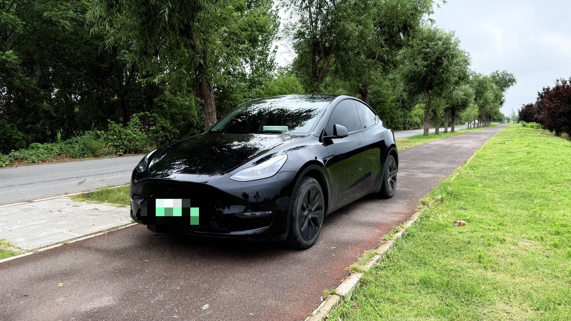 Tesla Model Y 2023 Tesla Model Y 2023 car image