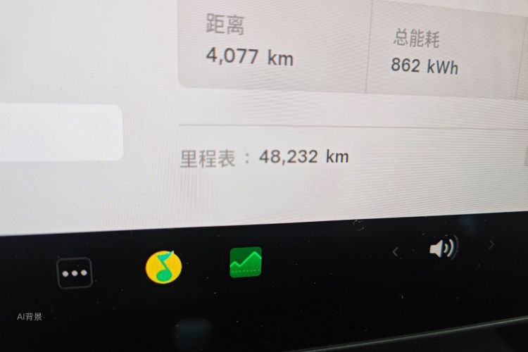 Tesla Model 3 2021 car image #14
