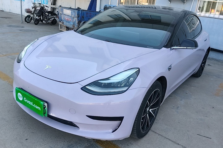 Tesla Model 3 2019 #2 Tesla Model 3 2019 car image #2