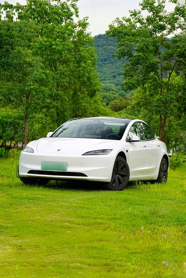 Tesla Model 3 2026 immagine di auto 