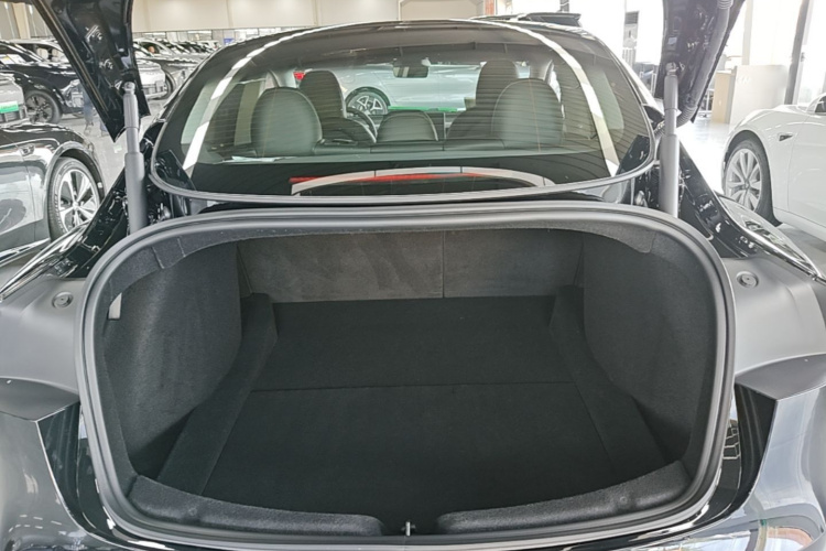 Tesla Model 3 2025 #19 Tesla Model 3 2025 immagine di auto #19