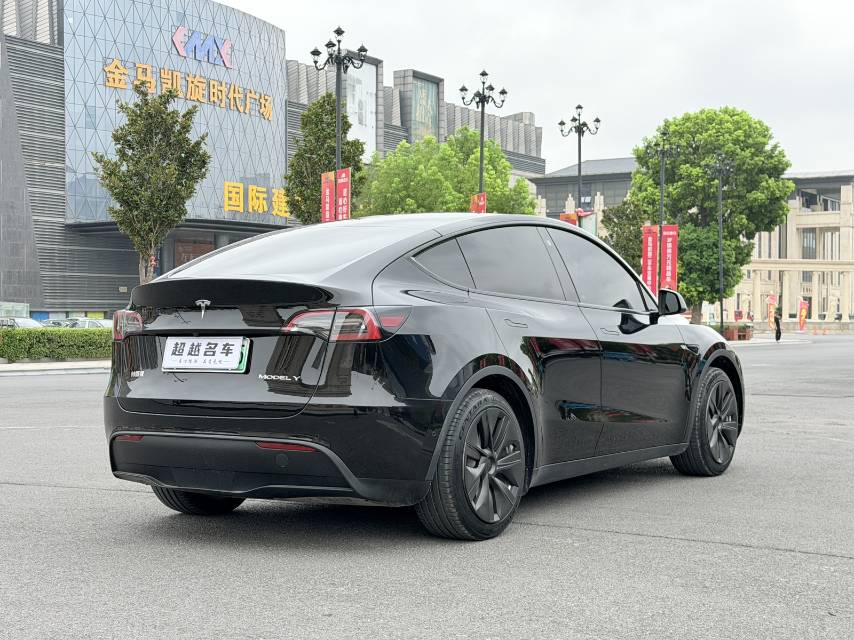 Tesla Model Y 2023 car image #9