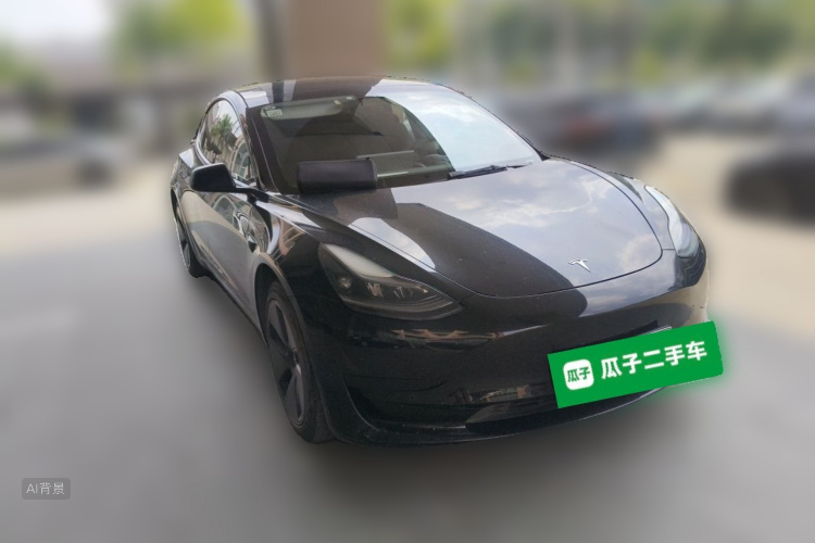 Tesla Model 3 2021 car image #4