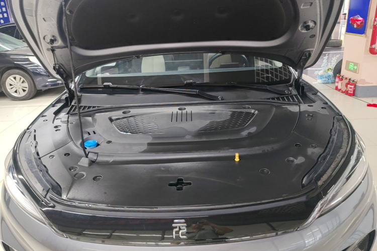 BYD Yuan Plus 2023 car image #20