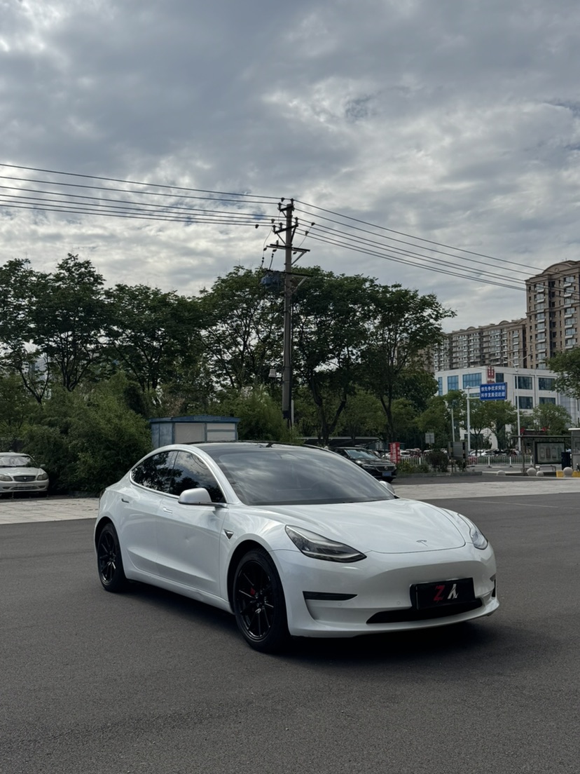 Tesla Model 3 2020 #2 Tesla Model 3 2020 car image #2