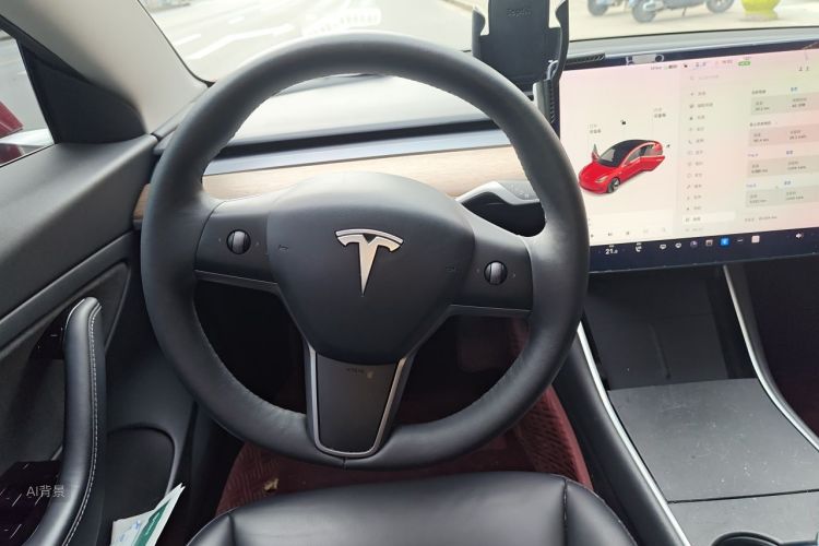 Tesla Model 3 2020 car image #12