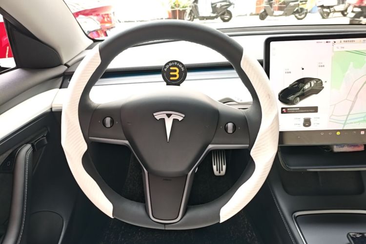 Tesla Model 3 2021 #11 Tesla Model 3 2021 car image #11
