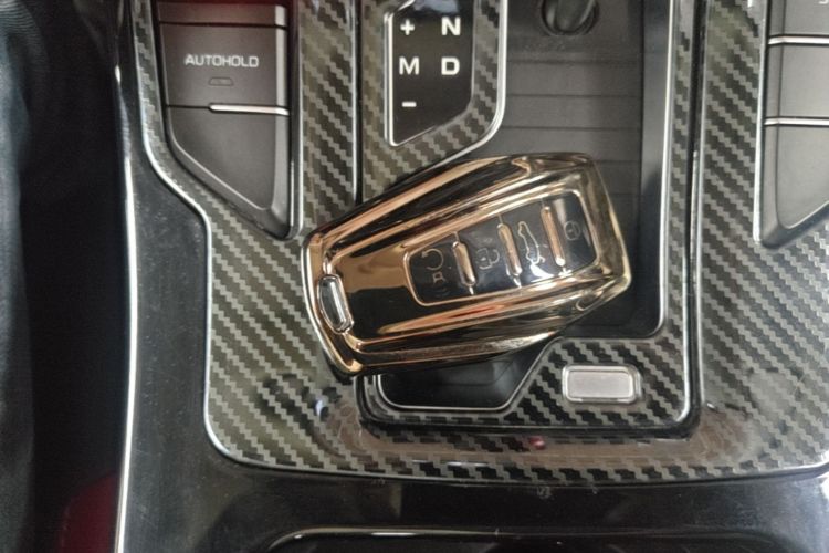 GEELY Emgrand GS 2020 car image #9