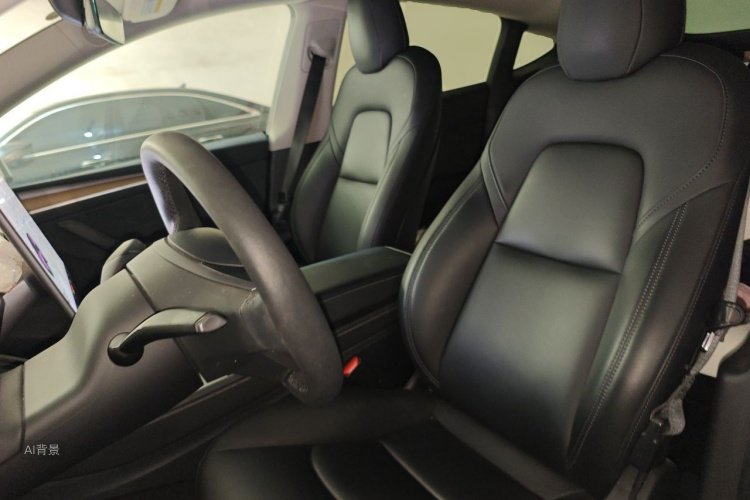 Tesla Model Y 2021 car image #17