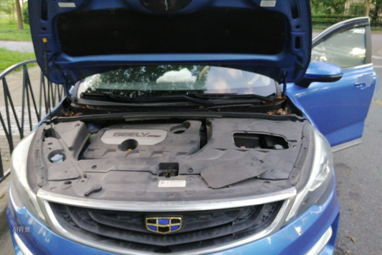 GEELY Emgrand GS 2017 #22 GEELY Emgrand GS 2017 car image #22