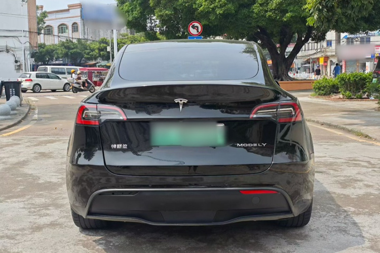 Tesla Model Y 2021 car image #6