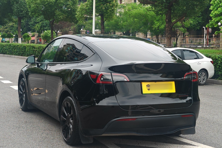 Tesla Model Y 2023 #7 Tesla Model Y 2023 car image #7