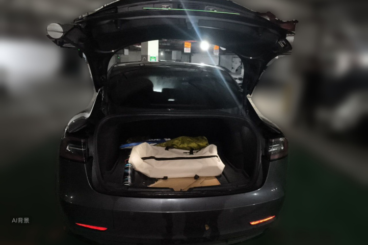 Tesla Model 3 2020 #21 Tesla Model 3 2020 car image #21
