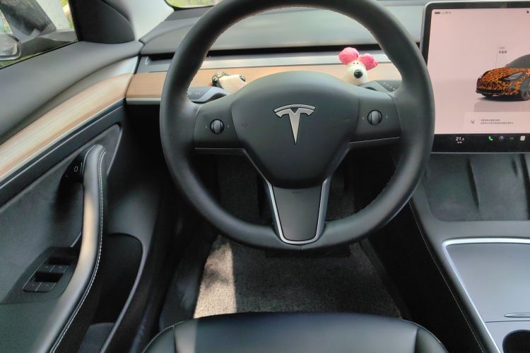 Tesla Model 3 2022 #12 Tesla Model 3 2022 car image #12