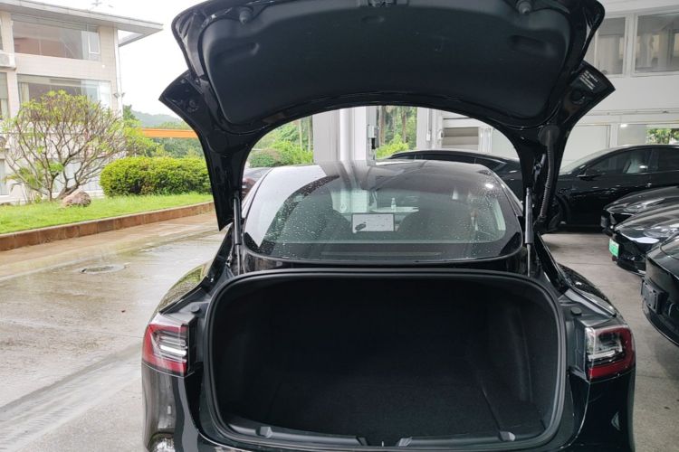 Tesla Model 3 2020 car image #21