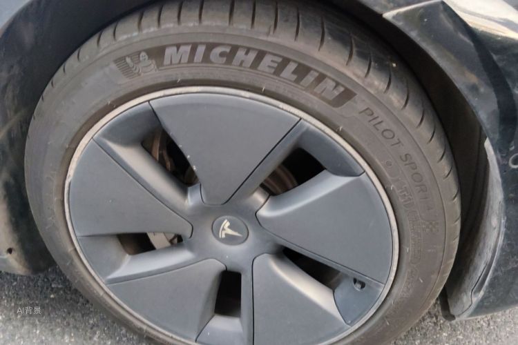 Tesla Model 3 2021 car image #9