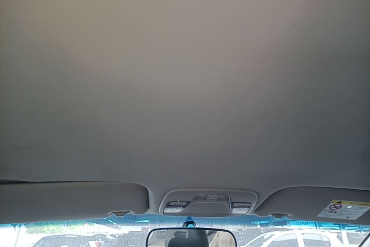 GEELY Emgrand New Energy 2019 car image #20