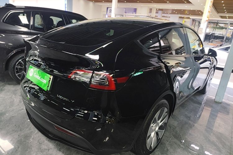Tesla Model Y 2023 car image #7