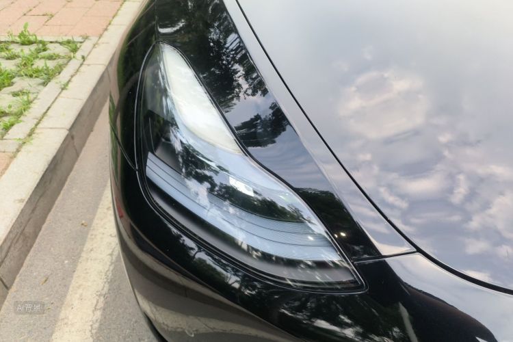 Tesla Model Y 2023 #8 Tesla Model Y 2023 car image #8