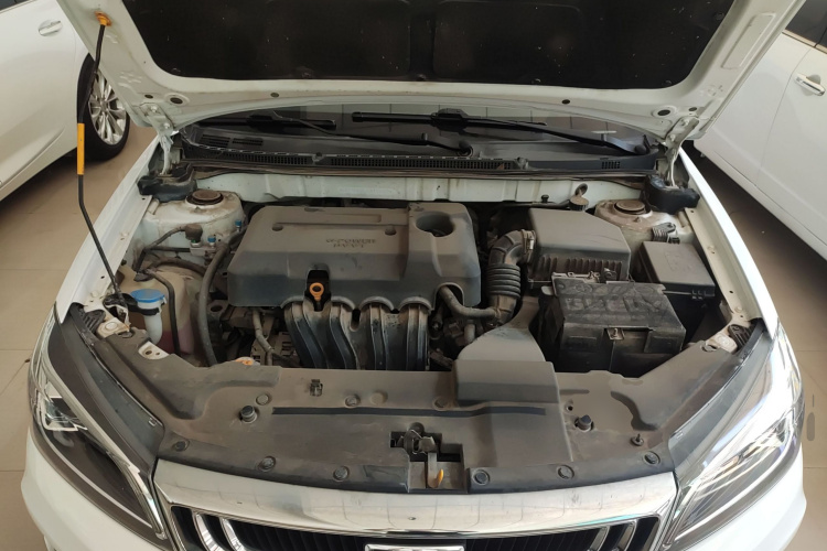 GEELY Emgrand 2021 immagine di auto #20