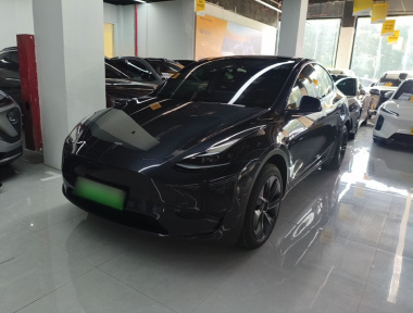 Tesla Model Y 2024 Tesla Model Y 2024 car image