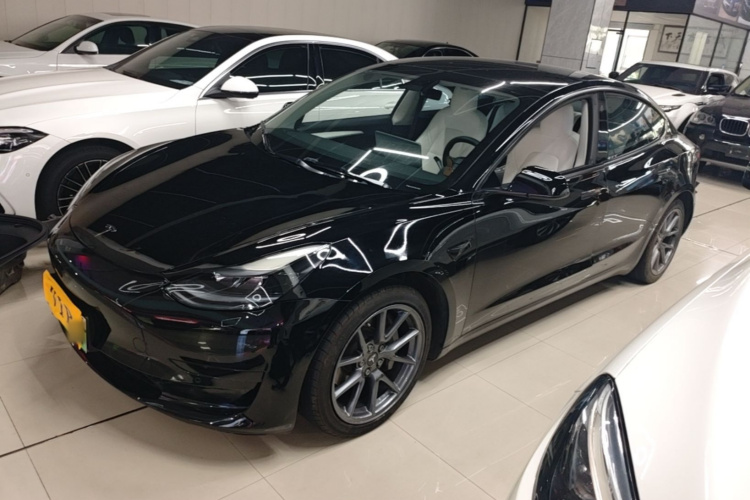 Tesla Model 3 2022 car image #2