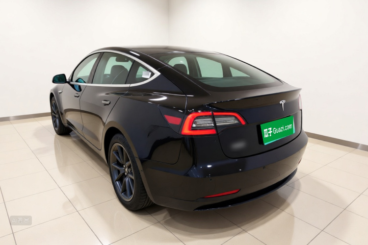 Tesla Model 3 2021 #5 Tesla Model 3 2021 car image #5