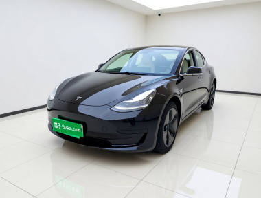 Tesla Model 3 2020 Tesla Model 3 2020 car image
