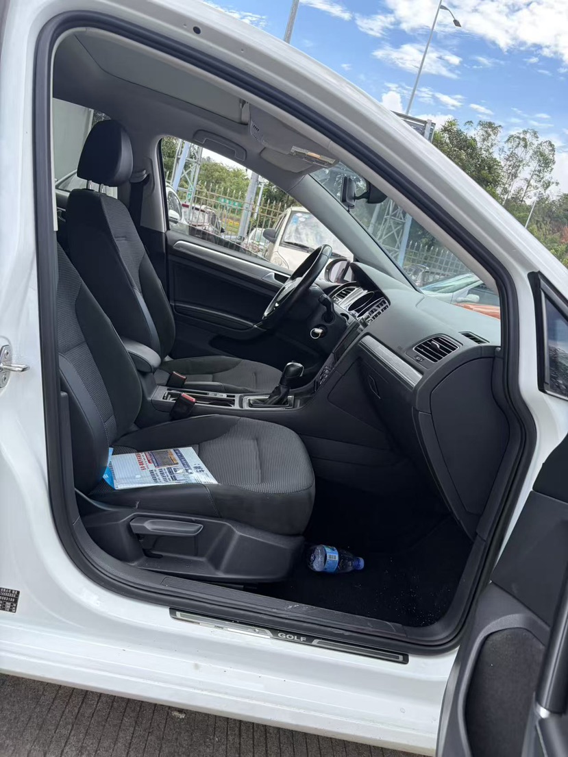 Volkswagen Golf 2019 #6 Volkswagen Golf 2019 car image #6