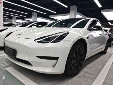 Tesla Model 3 2021 Tesla Model 3 2021 car image