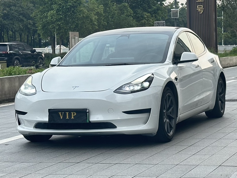 Tesla Model 3 2022 car image 