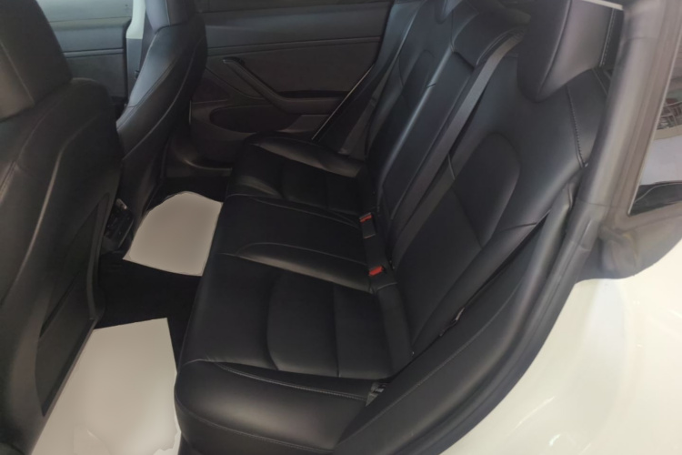 Tesla Model 3 2020 #17 Tesla Model 3 2020 car image #17