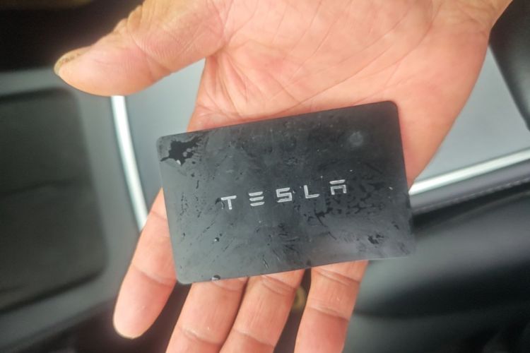 Tesla Model 3 2022 #9 Tesla Model 3 2022 car image #9