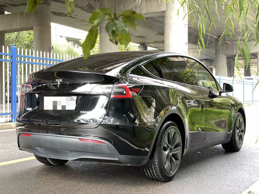 Tesla Model Y 2024 imagen de coche #7