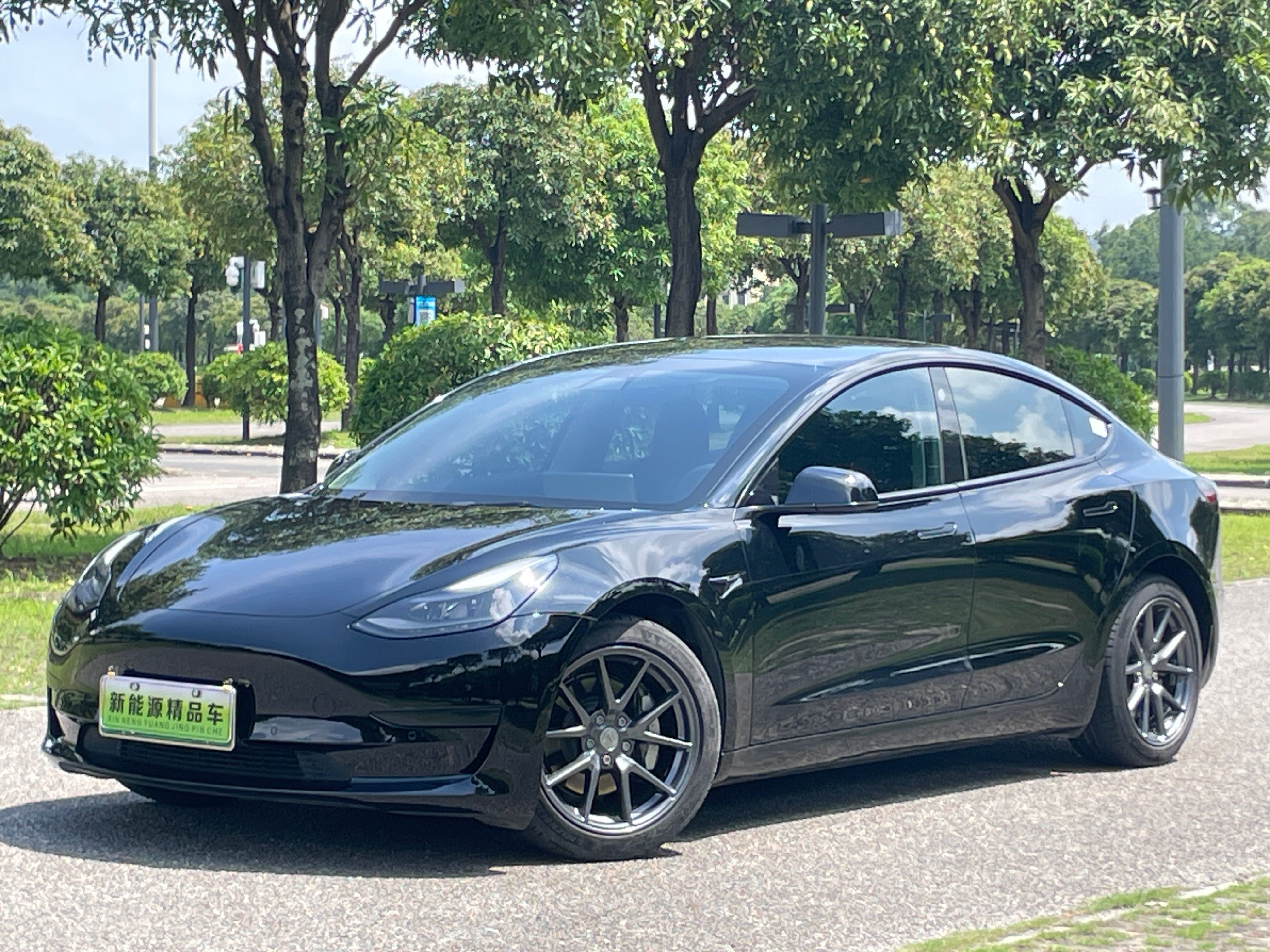 Tesla Model 3 2021 Tesla Model 3 2021 car image