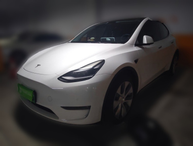 Tesla Model Y 2022 car image 