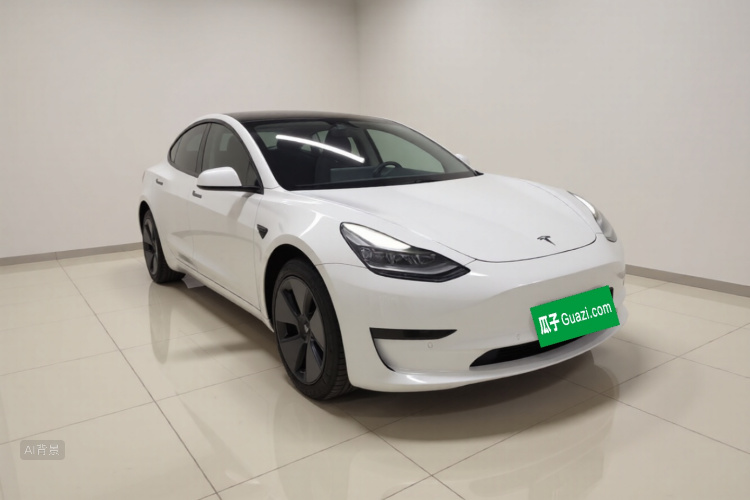 Tesla Model 3 2021 car image #4
