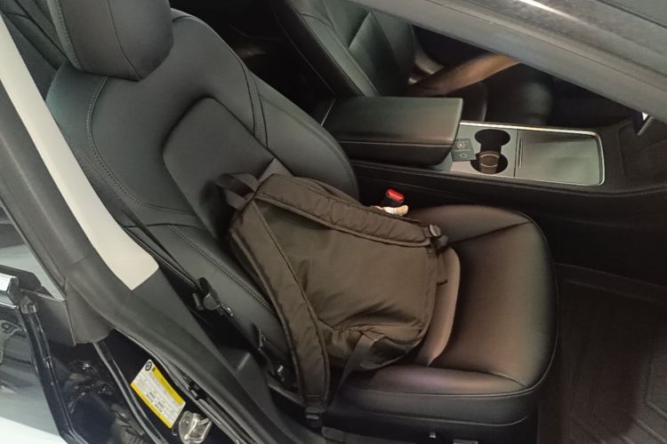 Tesla Model 3 2022 صورة سيارة #24