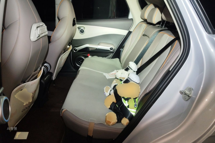 BYD Yuan Plus 2024 car image #19
