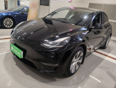 Tesla Model Y 2021 Tesla Model Y 2021 изображение автомобиля