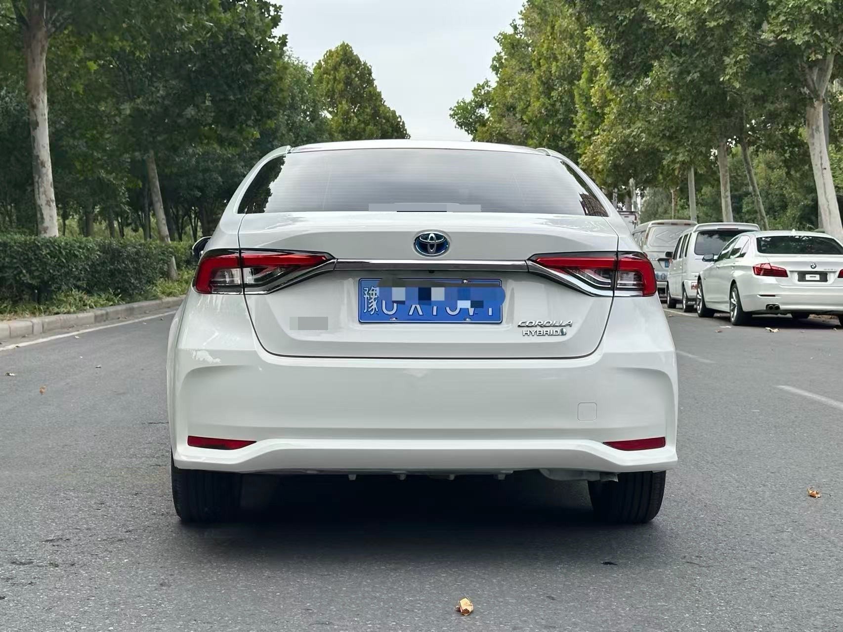 Toyota Corolla 2021 car image #5